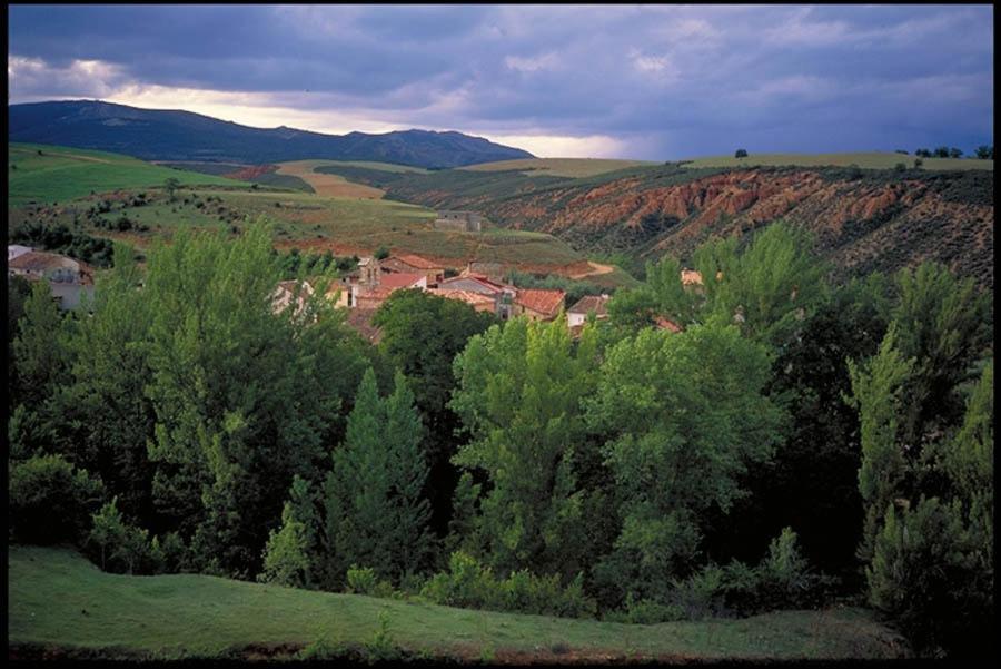 Гостьовий будинок El Rincon De Monasterio Номер фото